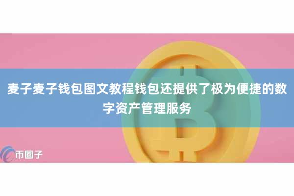 麦子麦子钱包图文教程钱包还提供了极为便捷的数字资产管理服务