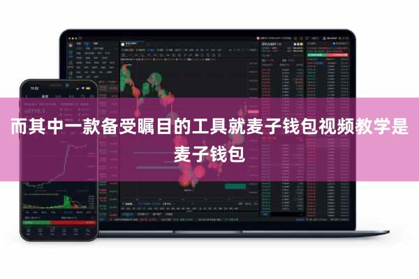 而其中一款备受瞩目的工具就麦子钱包视频教学是麦子钱包