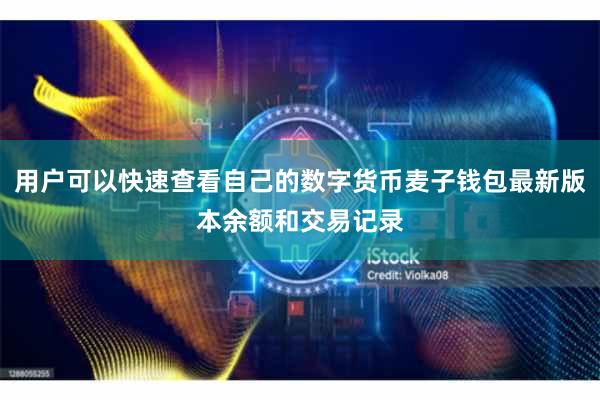 用户可以快速查看自己的数字货币麦子钱包最新版本余额和交易记录