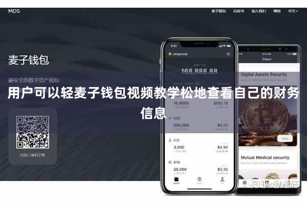 用户可以轻麦子钱包视频教学松地查看自己的财务信息