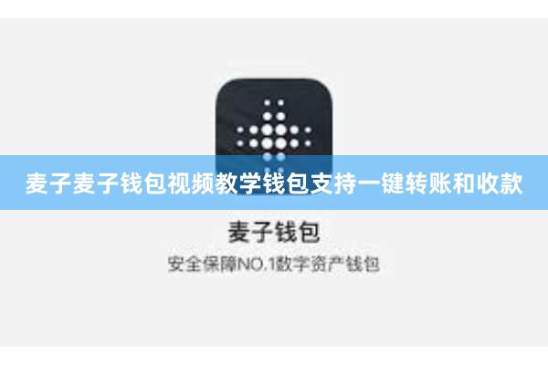 麦子麦子钱包视频教学钱包支持一键转账和收款