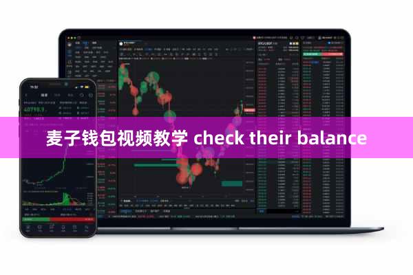 麦子钱包视频教学 check their balance