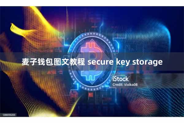 麦子钱包图文教程 secure key storage