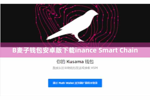 B麦子钱包安卓版下载inance Smart Chain