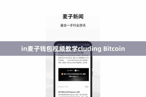 in麦子钱包视频教学cluding Bitcoin