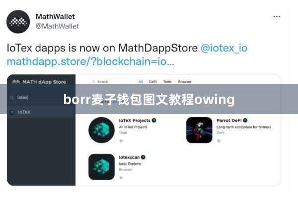 borr麦子钱包图文教程owing