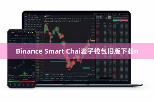 Binance Smart Chai麦子钱包旧版下载n