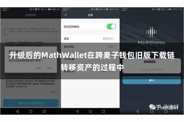 升级后的MathWallet在跨麦子钱包旧版下载链转移资产的过程中