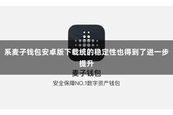 系麦子钱包安卓版下载统的稳定性也得到了进一步提升