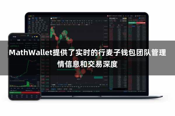 MathWallet提供了实时的行麦子钱包团队管理情信息和交易深度
