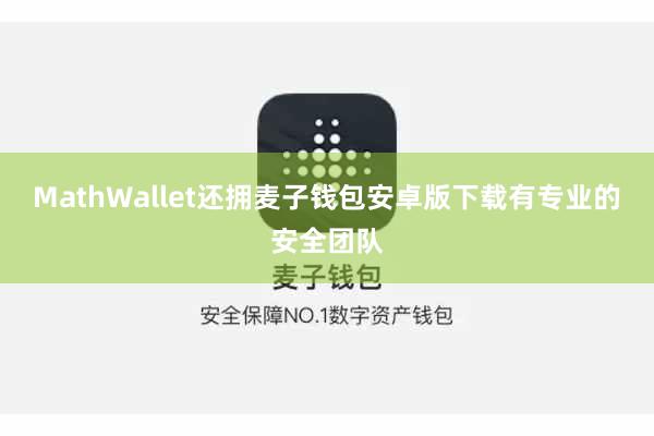 MathWallet还拥麦子钱包安卓版下载有专业的安全团队