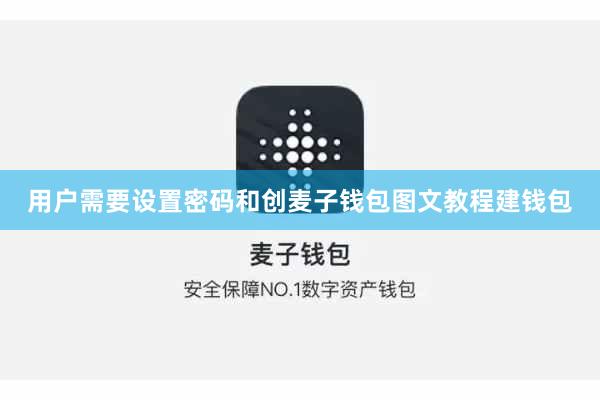 用户需要设置密码和创麦子钱包图文教程建钱包
