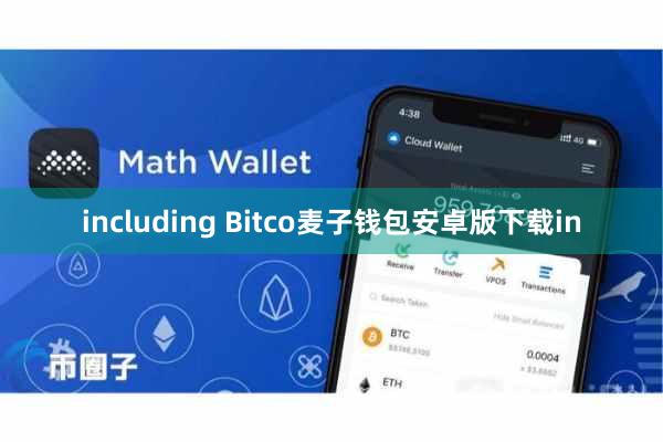 including Bitco麦子钱包安卓版下载in