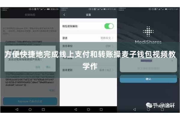 方便快捷地完成线上支付和转账操麦子钱包视频教学作