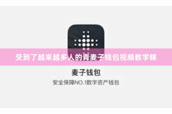 受到了越来越多人的青麦子钱包视频教学睐