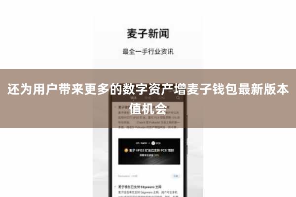 还为用户带来更多的数字资产增麦子钱包最新版本值机会