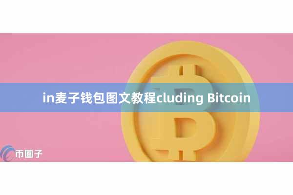 in麦子钱包图文教程cluding Bitcoin