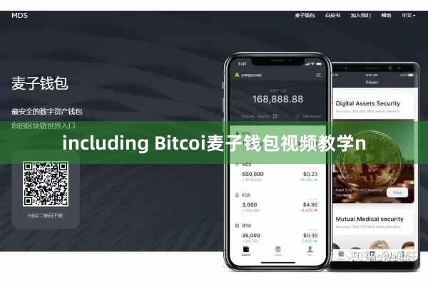 including Bitcoi麦子钱包视频教学n